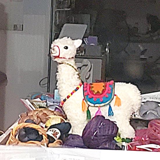 llama yarn shop