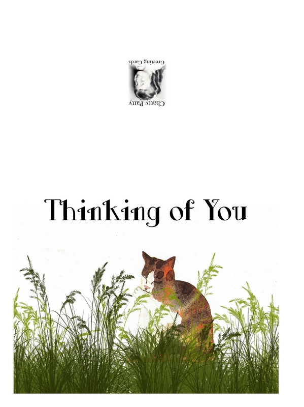 thinking of you cat in the grass photo for pdf