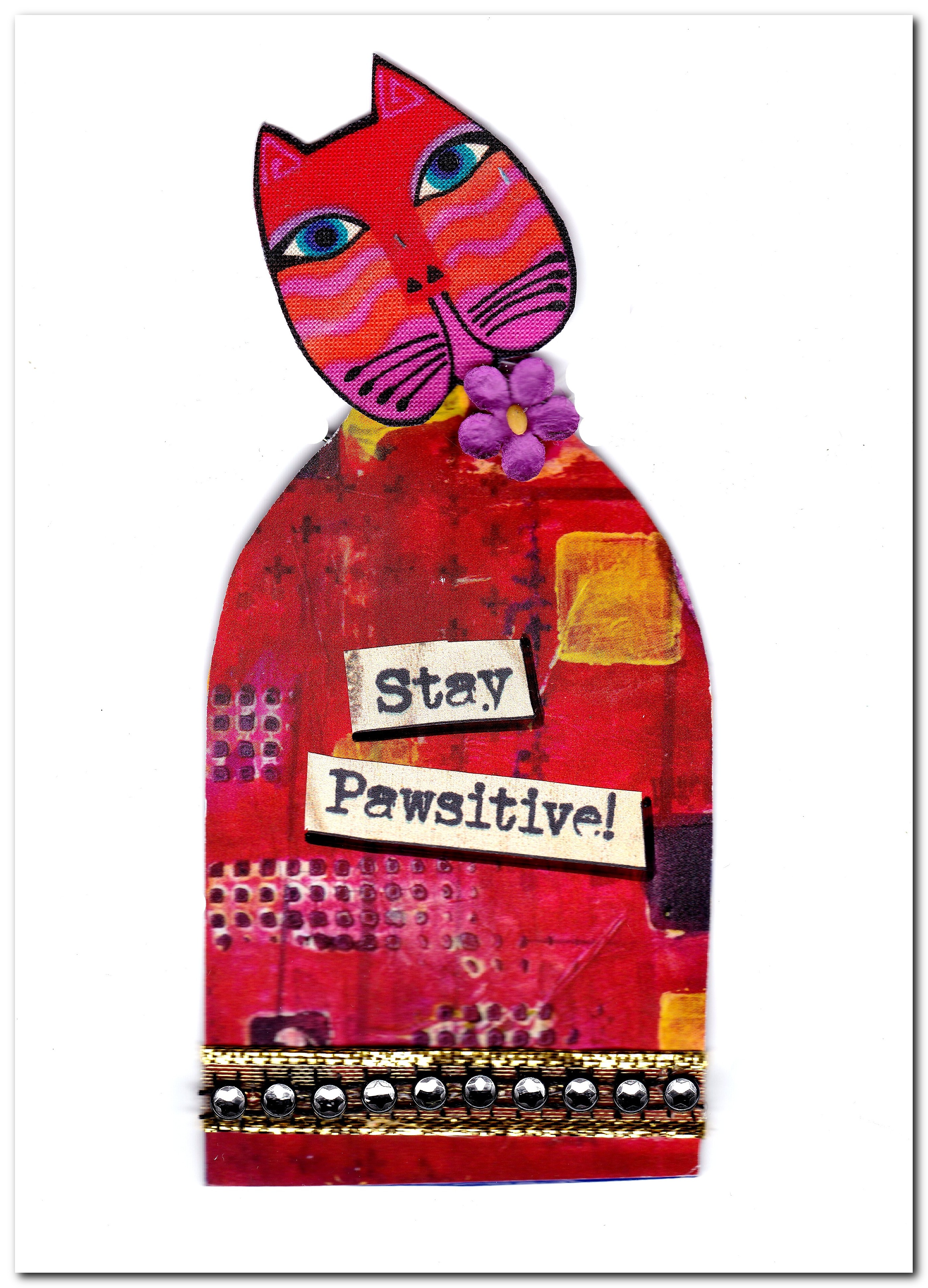 stay pawsitive feature